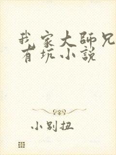 我家大师兄脑子有坑小说封面