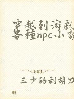 穿越到游戏里和各种npc小说封面