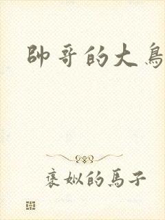 帅哥的大鸟