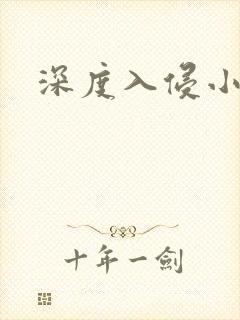 深度入侵小说