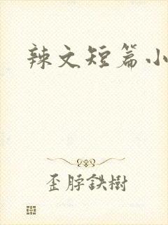 辣文短篇小说
