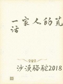 一家人的荒诞生活封面
