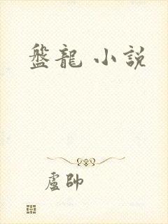 盘龙 小说