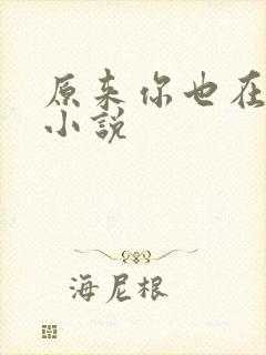 原来你也在这里小说封面