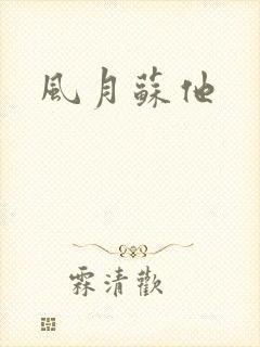 风月苏他封面