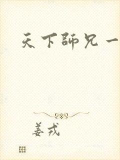 天下师兄一般黑封面