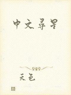 中文寻星封面