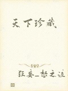天下珍藏