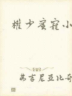 权少蜜宠小娇妻