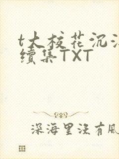 t大校花沉浮录续集TXT