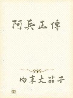 阿兵正传封面