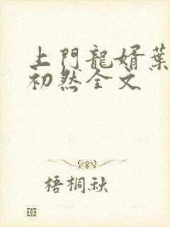 上门龙婿叶辰萧初然全文封面