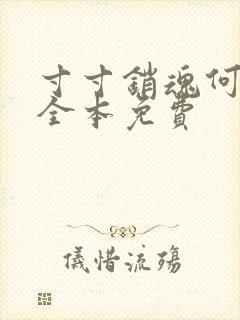 寸寸销魂何生祥全本免费封面