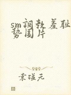 sm调教羞耻姿势图片