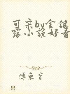 可宋by金银花露小说好看吗