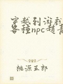 穿越到游戏里和各种npc赵青蔓