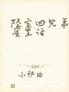 陆家四兄弟的甜蜜生活封面
