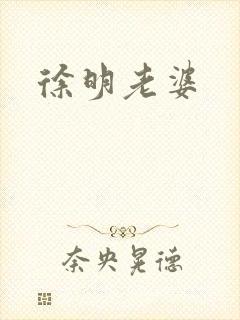 徐明老婆封面