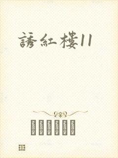 诱红楼11封面