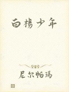 白杨少年