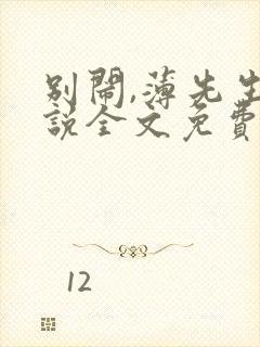 别闹,薄先生小说全文免费阅读封面