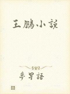 王鹏小说封面