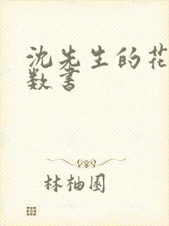 沈先生的花式调数书