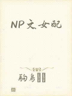 NP文女配封面
