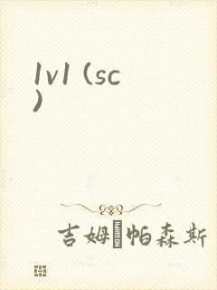 1v1 (sc)