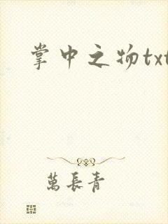 掌中之物txt