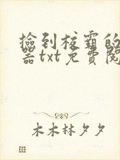 捡到校霸的遥控器txt免费阅读by阳阳