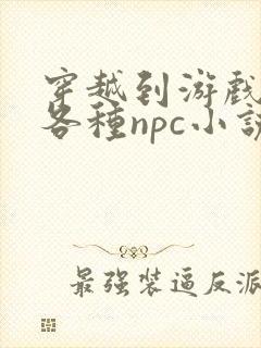 穿越到游戏里和各种npc小说