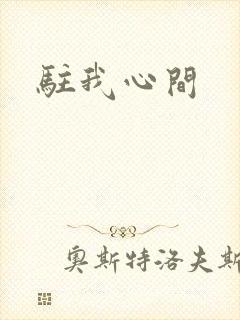 驻我心间封面