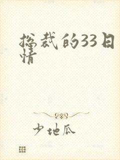 总裁的33日索情