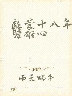 敌营十八年2虎胆雄心