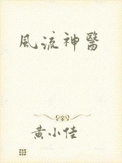 风流神医封面