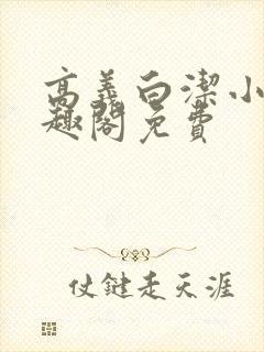 高义白洁小说笔趣阁免费封面