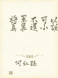 将军不可以魏云真慕迟小说笔趣阁