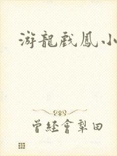 游龙戏凤小说封面