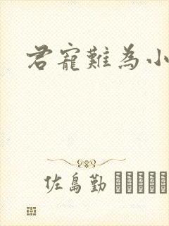 君宠难为小说
