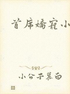 首席娇宠小情人