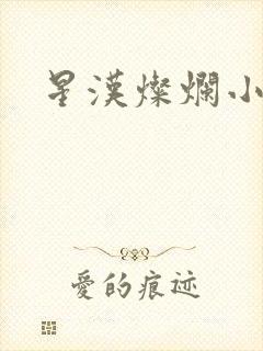 星汉灿烂小说
