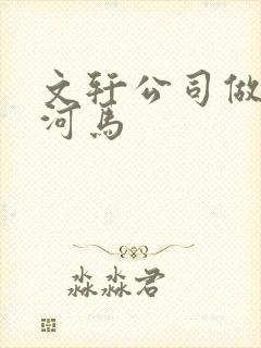 文轩公司做扩张河马