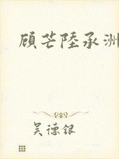 顾芒陆承洲