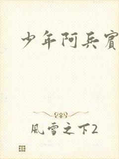 少年阿兵宾封面
