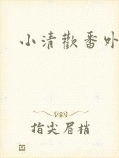 小清欢番外