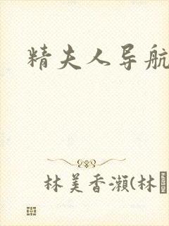 精夫人导航封面