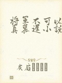 将军不可以魏云真慕迟小说笔趣阁封面
