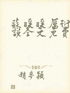 苏暖暖厉衍琛小说全文免费阅读