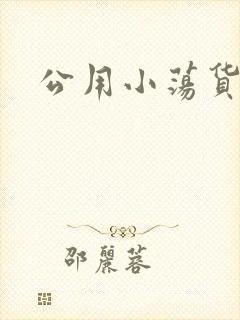公用小荡货芊芊封面